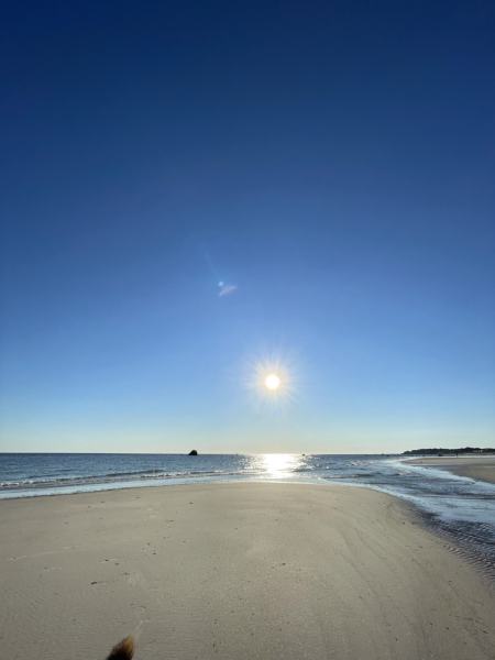 Priscilla Beach photo